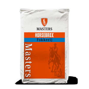 Masters Veulen