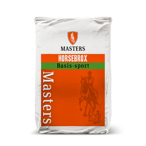 Masters Basis-sport